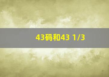 43码和43 1/3